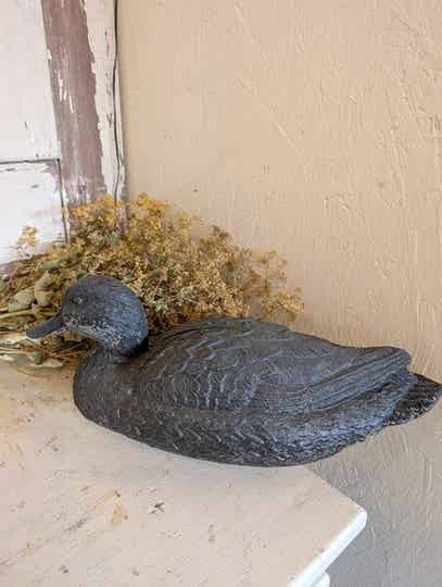 Oude kunststof Lokeend