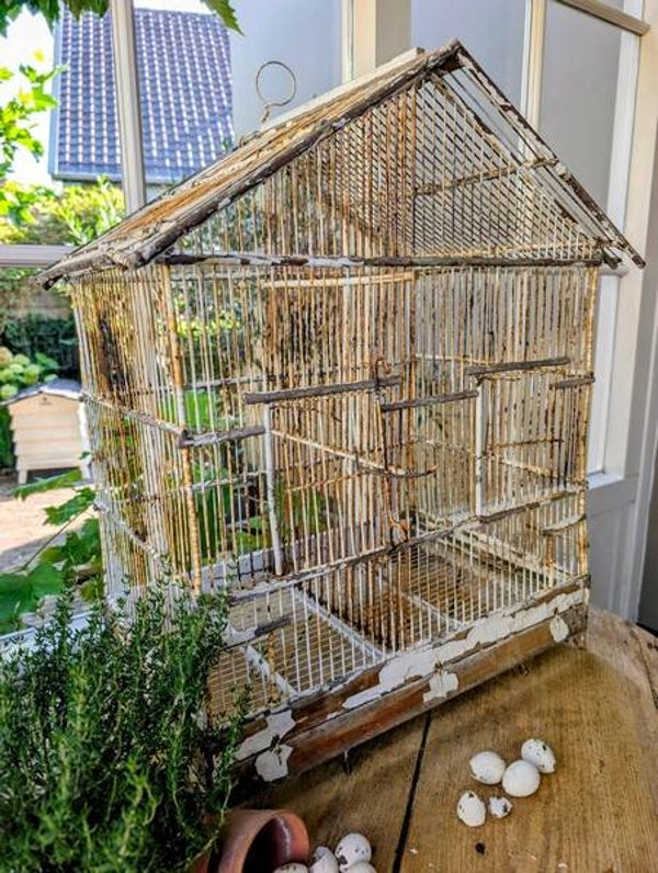 Grote Antieke Franse Vogelkooi