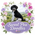 Sweet Pea Doodles