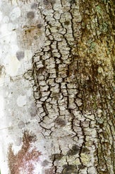 abstract-standard.jpg