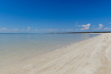 beachshell-standard-5ebzai.jpg