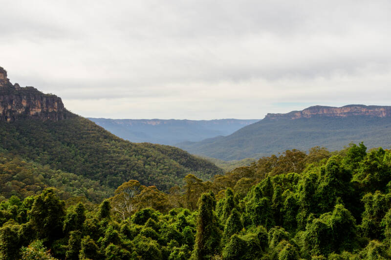 bluemountains2-standard-gr73od.jpg
