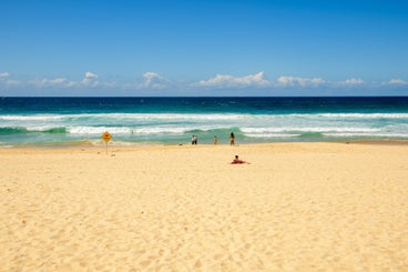 bondi-standard-9urc14.jpg