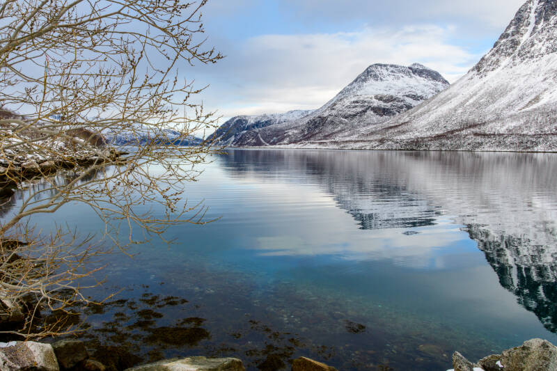 fjord6-standard-bvw74y.jpg