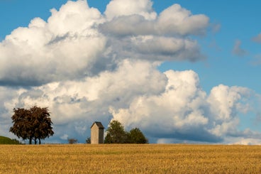 landschapmooi-standard.jpg