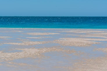 landschapstrand-standard-7akwpc.jpg