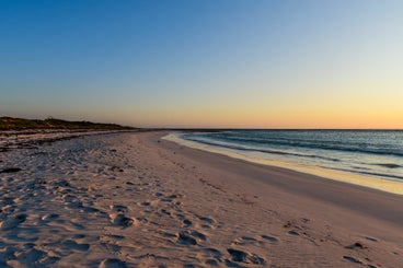mooiestrand-standard-ecuez2.jpg
