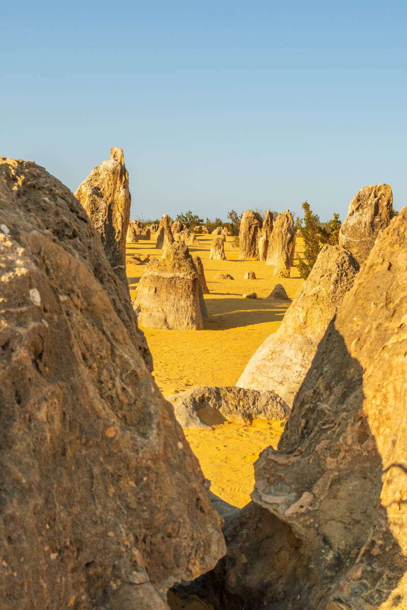 pinnacles3-standard-fo0ye6.jpg
