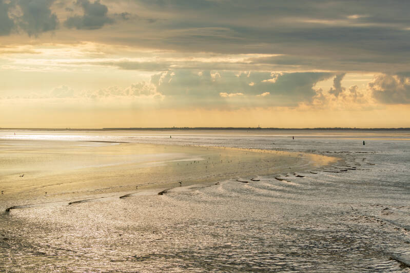 schitterdwaddenzee-standard-m0myt4.jpg
