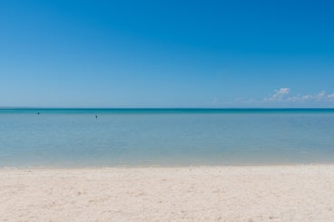 shellbeach1-standard.jpg