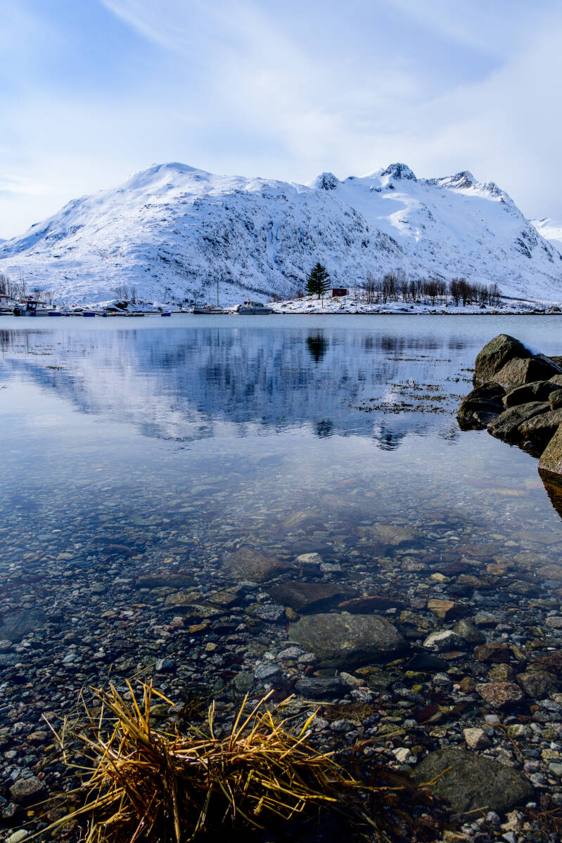 vertikaalfjord-standard-ivi6qk.jpg
