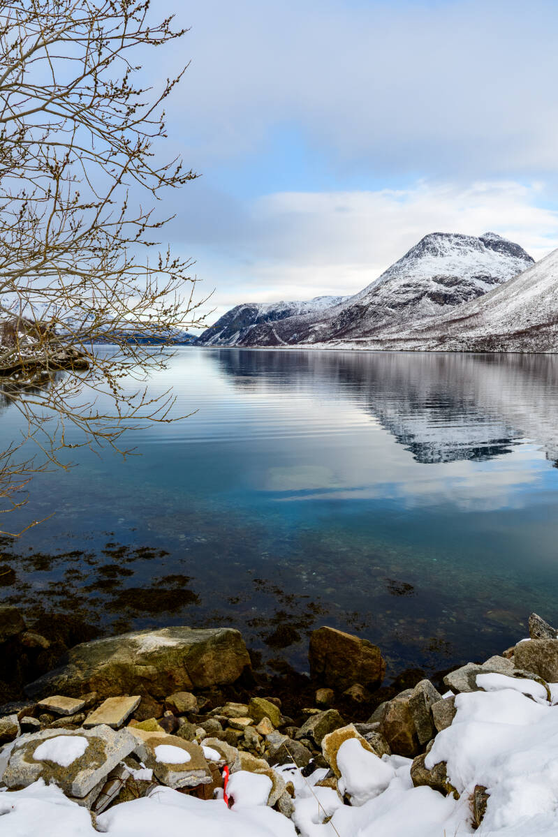 vertikaalmooifjord-standard-20c2j2.jpg