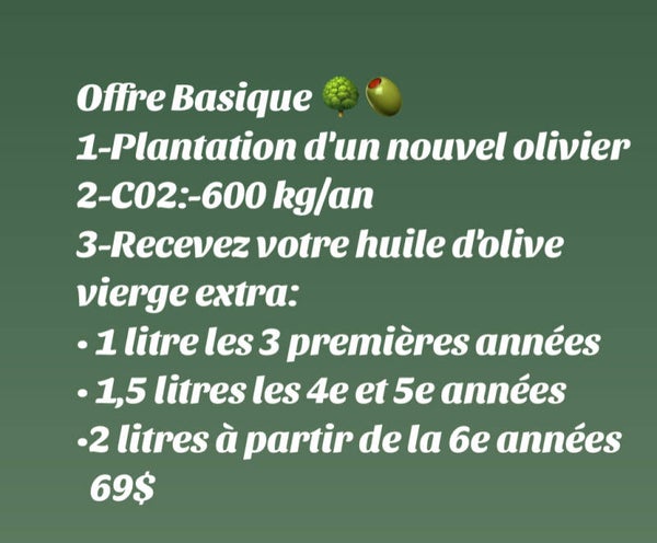 Offre Basic adoption d’un Olivier