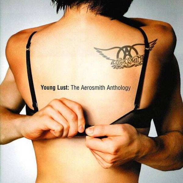 Aerosmith - Young Lust Anthology