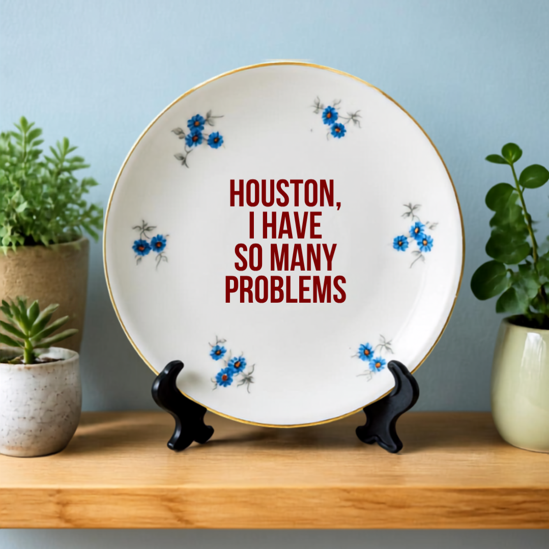 Originele wandbordjes met uistpraken en quotes! Op de foto een wandbordje met de tekst Houston I have so many problems
