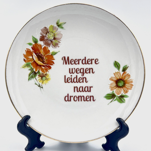 Wandbord Meerdere wegen leiden naar dromen