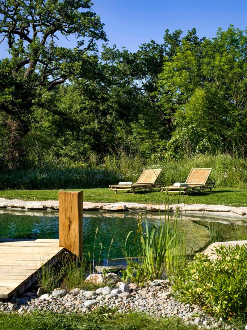pond_june_25-2-standard.jpg
