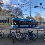 trolleybus-standard.jpg