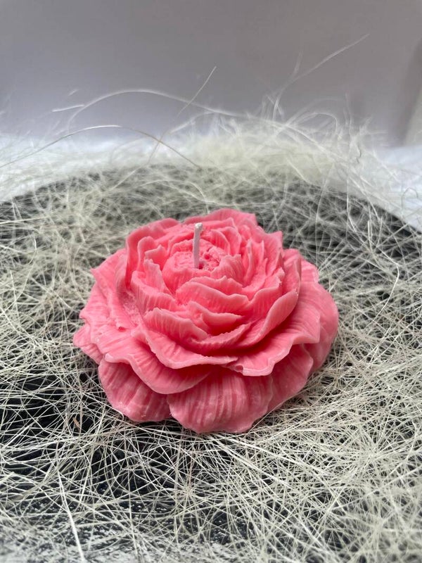 Penelope kaarsenbloem