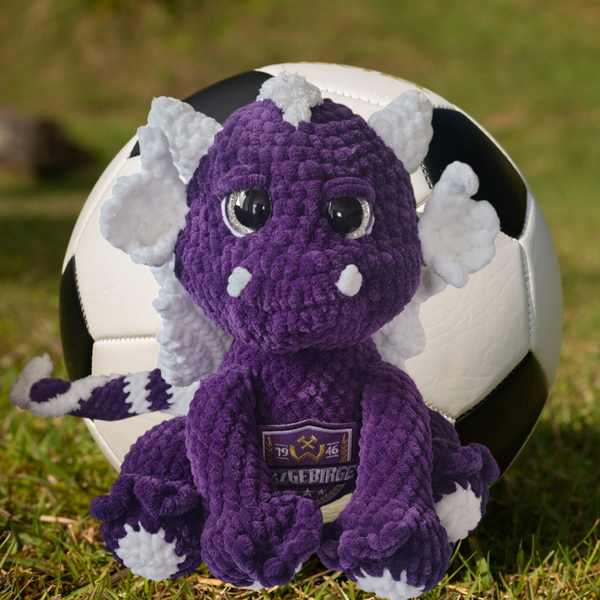 💜🤍 BSG Wismut Erzgebirge Aue💜 Drachenkind 💜🤍