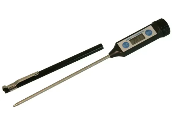 Eva termometro digitale con sonda per cucinare