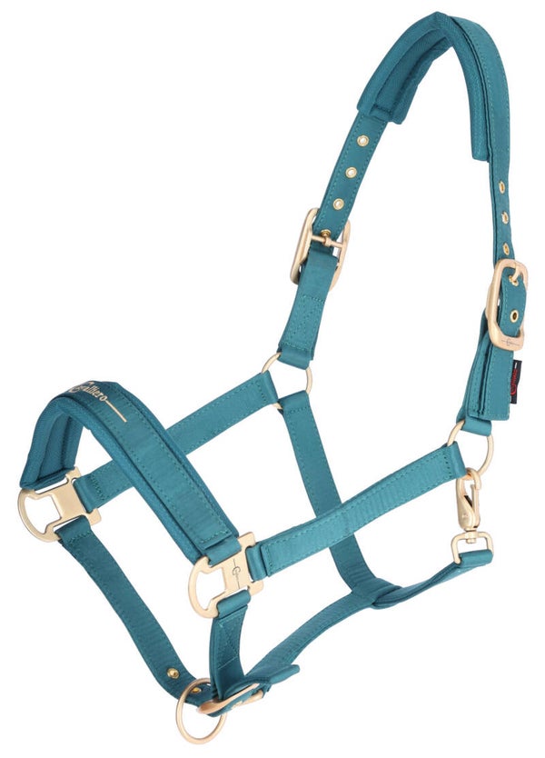 Halster Covalliero summer23 (meerdere kleuren verkrijgbaar)