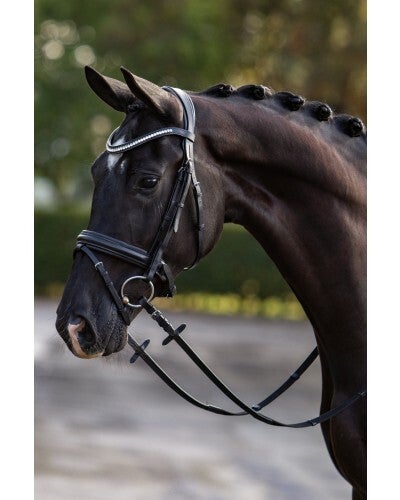 Hoofdstel Showtime stars