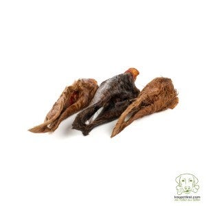 Paardenoren met vacht