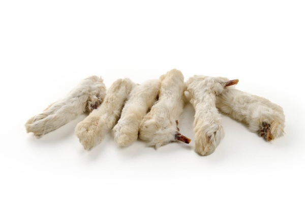 Konijnenpoten met vacht