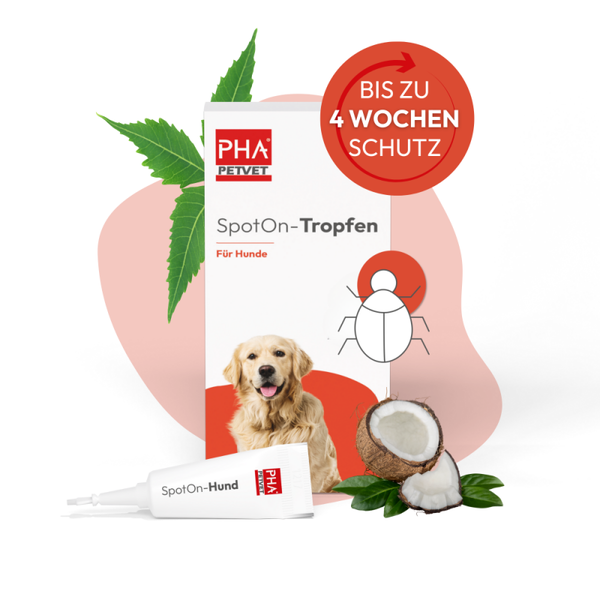Spot-on druppels hond