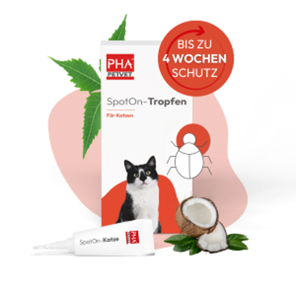 Spot-on druppels kat