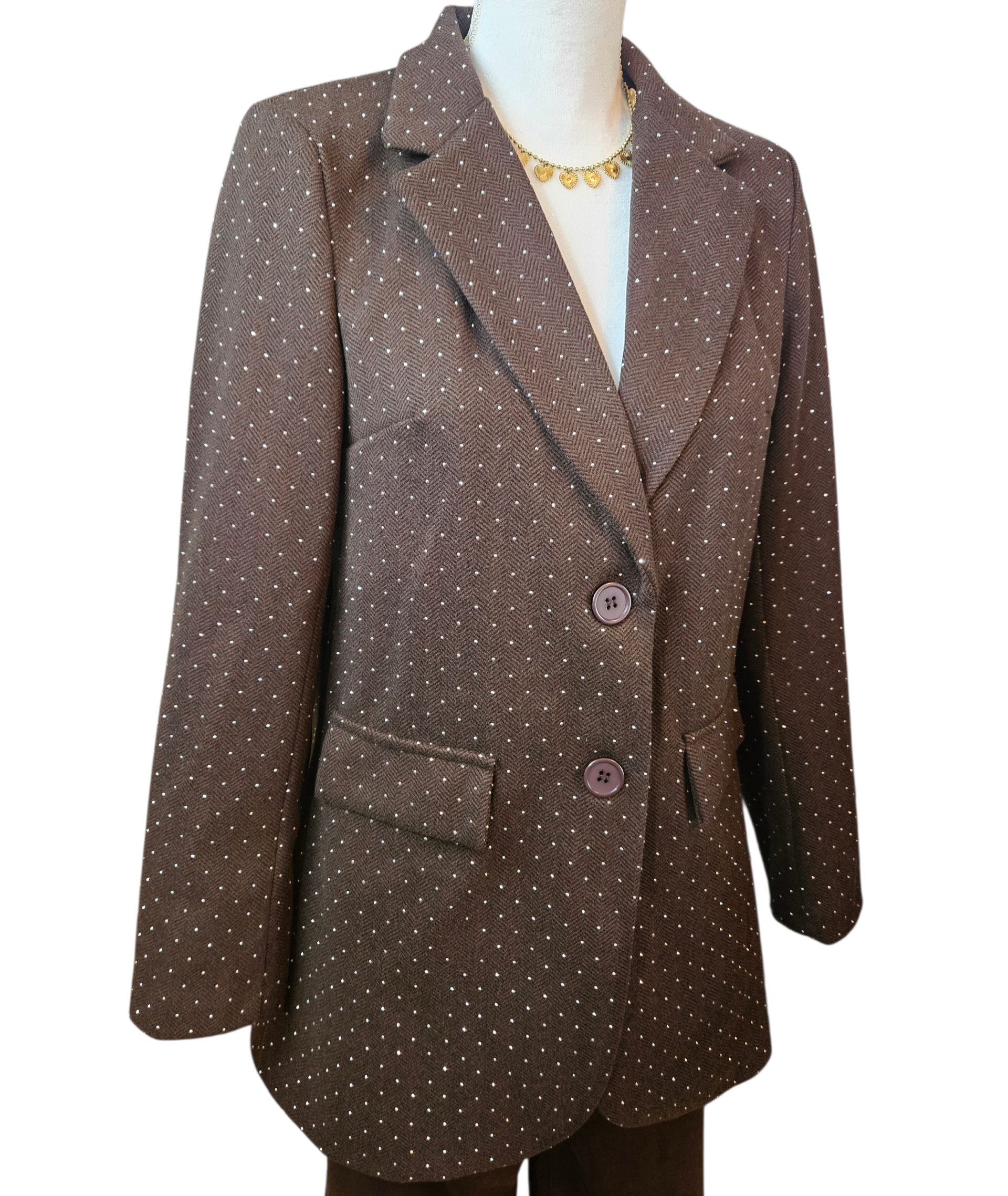 Sparkle blazer brown