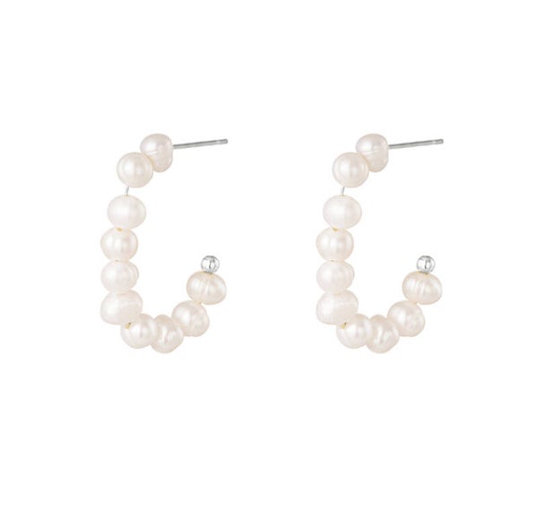 Oorbellen Daniëlle zilver