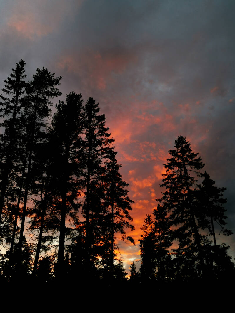 Vuokrahuvila Villa blackwood, joka sijaitsee Uudellamaalla Sipoossa, on upeat auringonlaskut