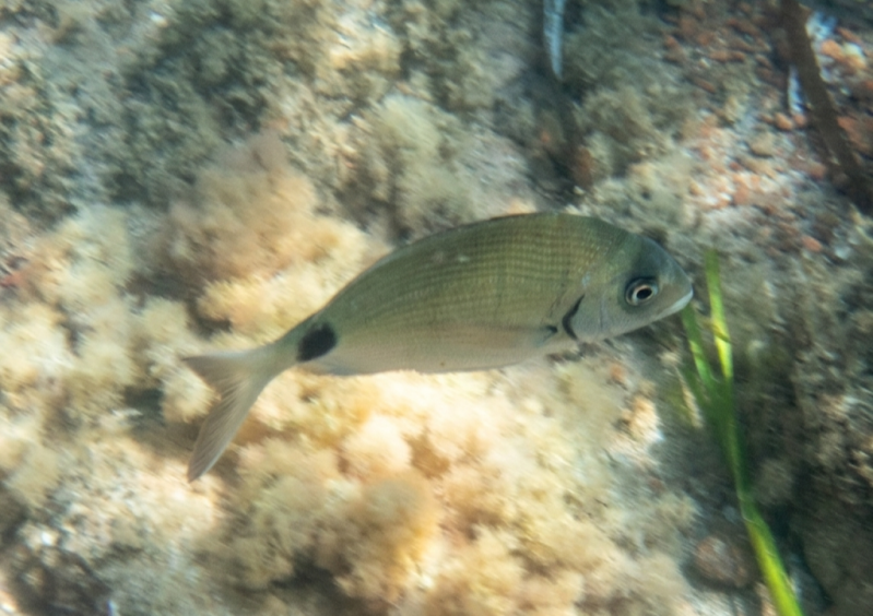 1784899975285-standard.png