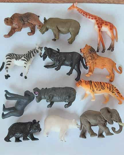 Set dieren o.a. jungle