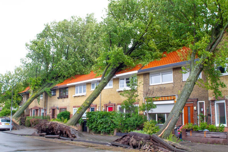 Zomerstorm Poly 2023