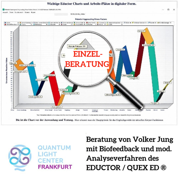 Beratung von Volker Jung mit Biofeedback + mod. Analyseverfahren - Online oder im QLC Frankfurt
