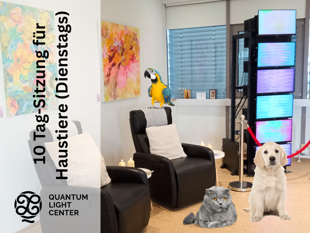 10h Tages-Sitzung für Haustiere – 7 bezahlen (Dienstags(