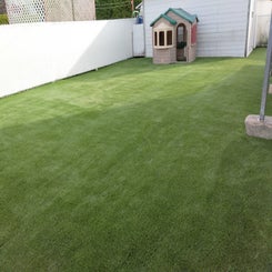 img-20230623-wa0000-standard.jpg