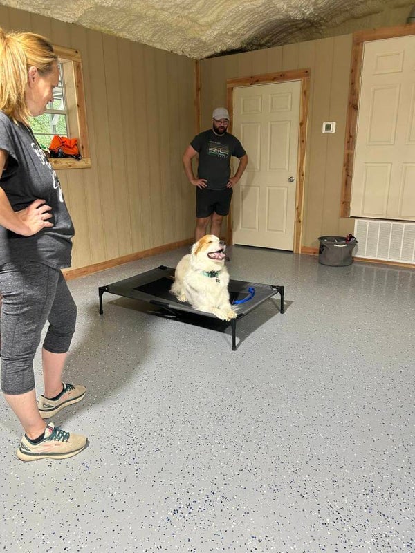 2-Week Board & Train