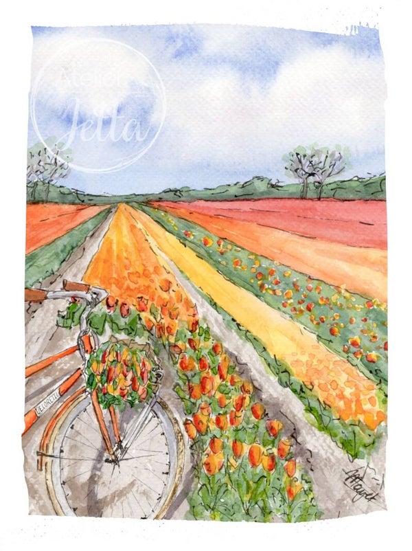 Liefde voor tulpen en fietsen - A6 ansichtkaart