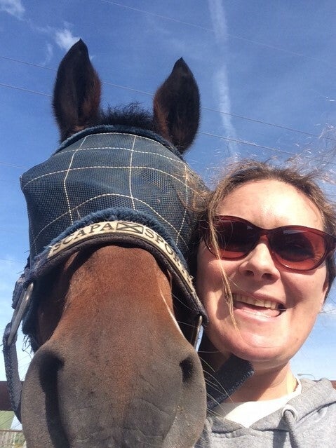 Logo Het stralende paard, energetische behandeling voor paarden met symptomen van o.a. overgewicht, Insulineresistentie en de ziekte van Cushing (PPID)