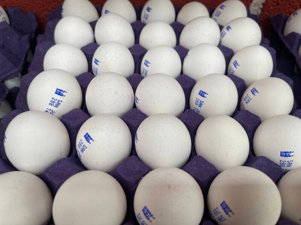 Distribuidora de Huevo