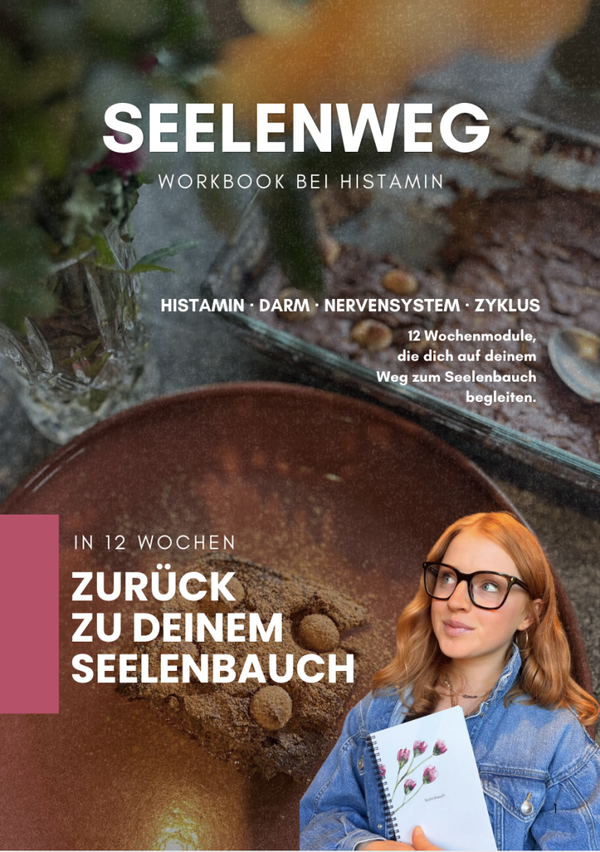 Seelenweg Workbook mit Begleitung
