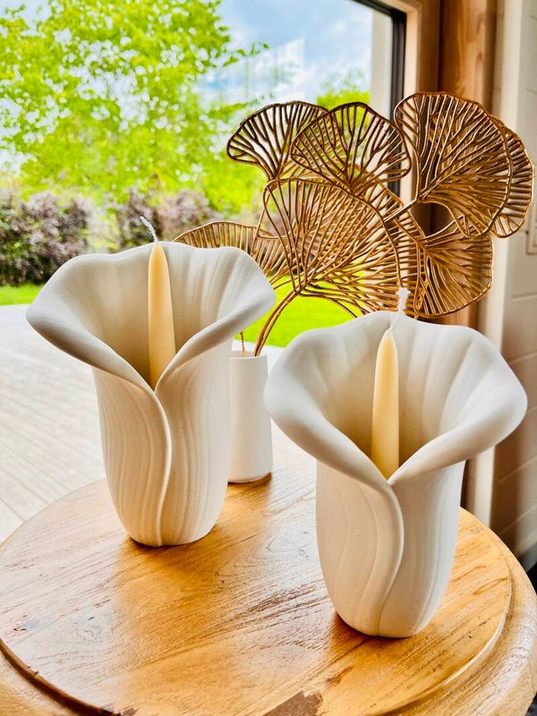 Calla Alba