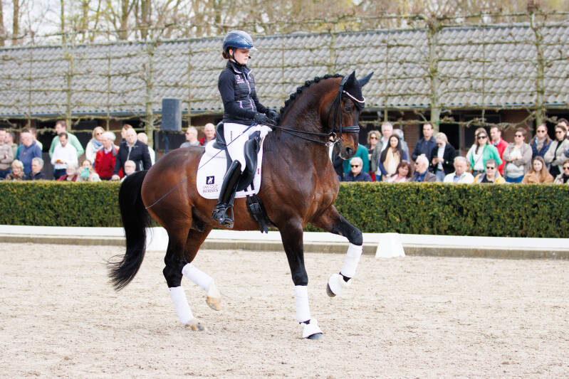 paardenfotograaf, paardenfotografie