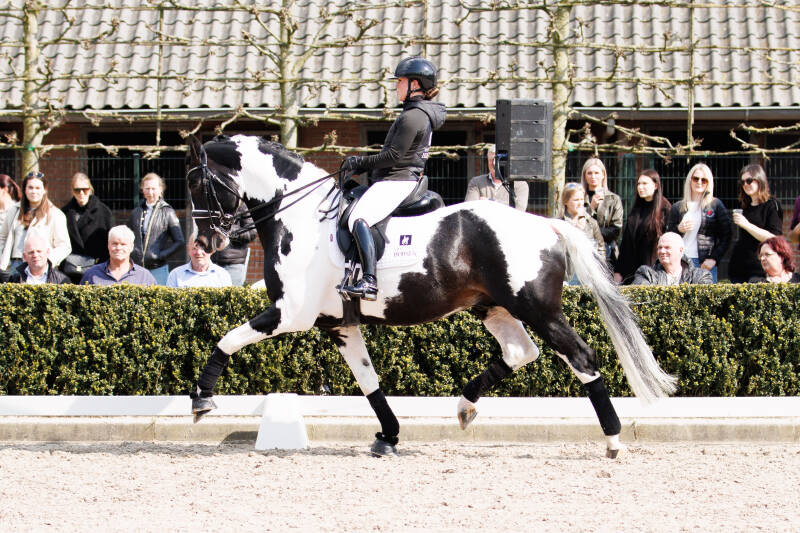 paardenfotograaf, paardenfotografie, reels