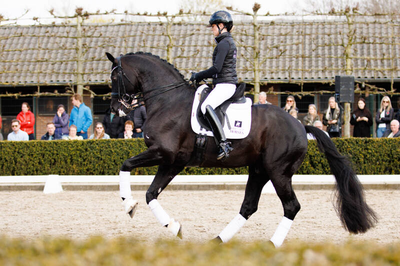 paardenfotograaf, paardenfotografie, reels