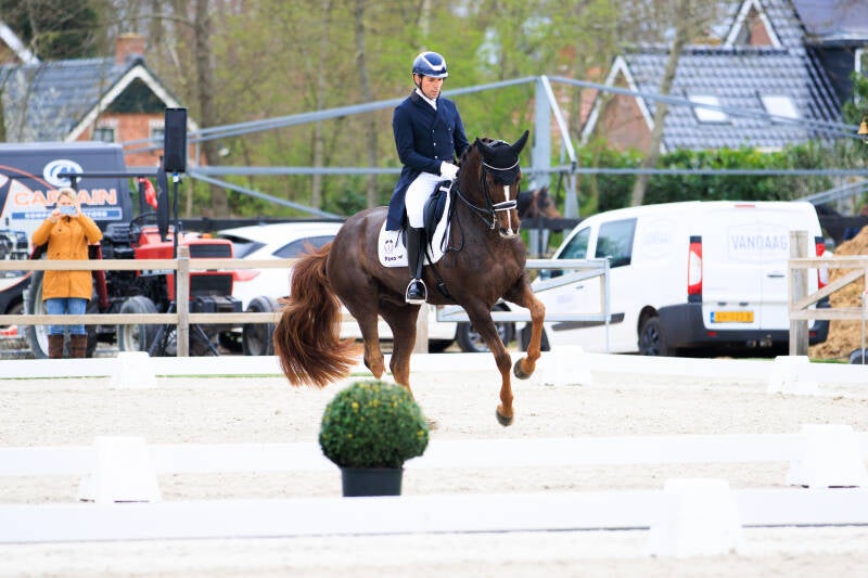 paardenfotograaf, paardenfotografie
